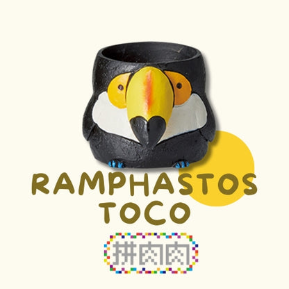 【肉肉動物園】2025全新上市 - 大嘴鳥多肉植物盲盒X1