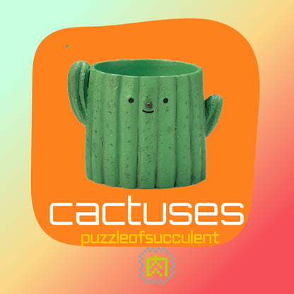 【肉肉植物園】-日本進口雙色仙人掌多肉植物盲盒