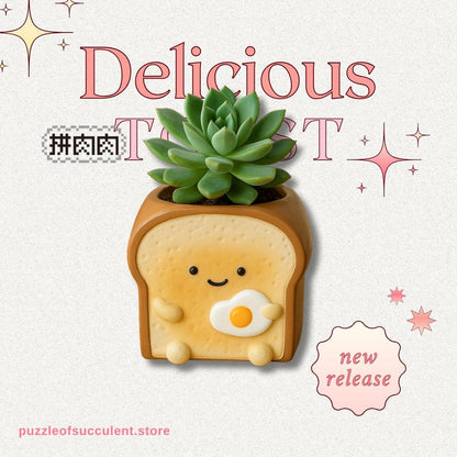 【肉肉甜點店】-日本進口蜜糖煎蛋吐司多肉植物盲盒x1