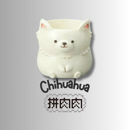 【肉肉動物園】吉娃娃雙色多肉盲盒X2