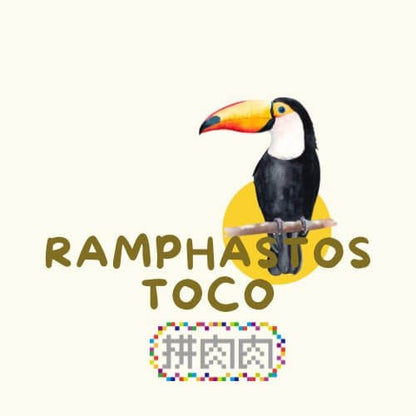 亞馬遜叢林組合把熱帶雨林搬到你的辦公桌！(4入組)的可愛大嘴鳥設計