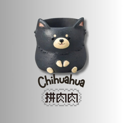 【肉肉動物園】吉娃娃雙色多肉盲盒X2