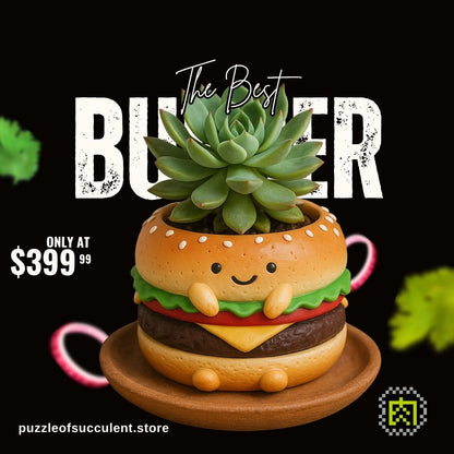 【肉肉甜點店】大麥克多肉植物盲盒 X1