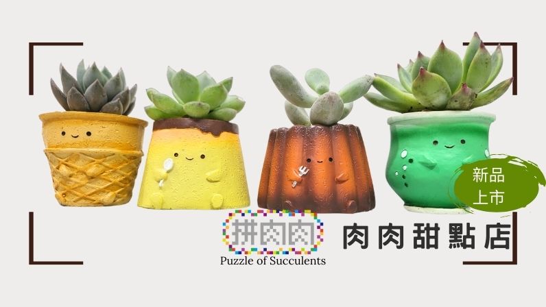 【肉肉甜點店】豪華全餐 🍰|6道「0熱量」人氣甜點一次端上桌! landing page variant 1