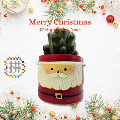 【拼肉肉聖誕限定】聖誕夢幻隊！聖誕老人、麋鹿、雪人三件套 (搭配多肉盲盒)