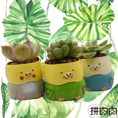 [Meat Zoo]-Japanese Parrot Succulent Plant Blind Box X3 1 of each color