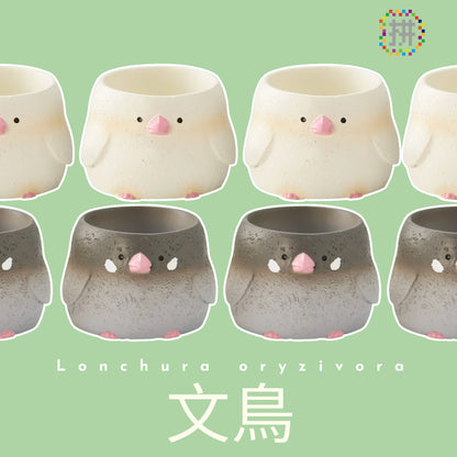 【肉肉動物園】-日本進口雙色文鳥多肉植物盲盒X2