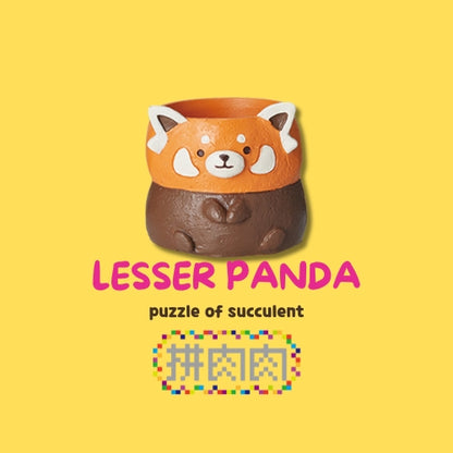 【肉肉動物園】小熊貓多肉植物盲盒，新品上市官網獨家販售