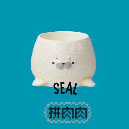 【肉肉大動物園】小海豹多肉植物盲盒X1