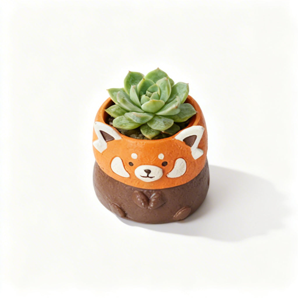 [Flesh Zoo] Red Panda Succulent Plant Blind Box, New Product Launched, Exclusively Sold on the Official Website