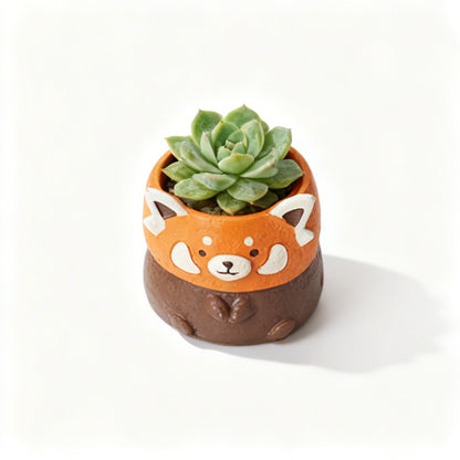 [Flesh Zoo] Red Panda Succulent Plant Blind Box, New Product Launched, Exclusively Sold on the Official Website