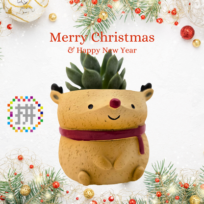 【拼肉肉聖誕限定】聖誕夢幻隊！聖誕老人、麋鹿、雪人三件套 (搭配多肉盲盒)
