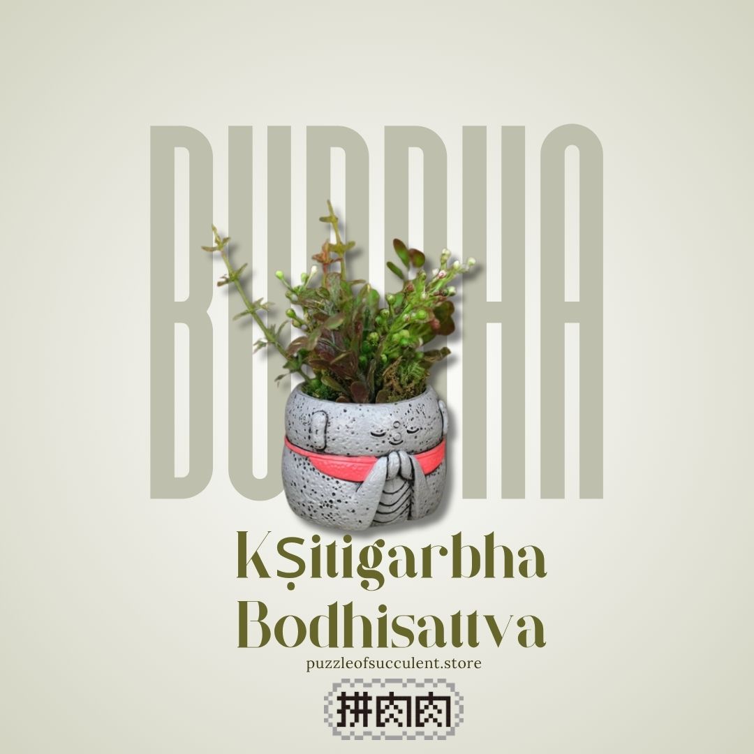 【肉肉玩具箱】 地藏王菩薩多肉植物盲盒X1