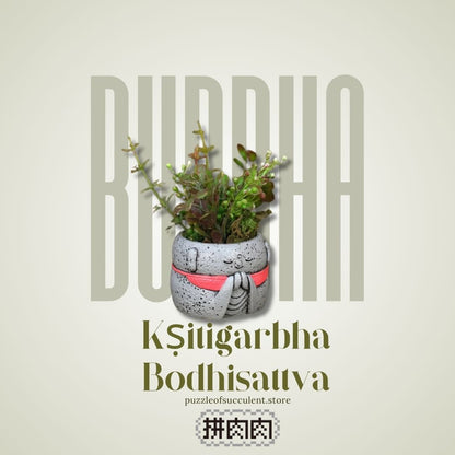 [Succulent Toy Box] Robot Succulent Two-color Plant Blind Box X2_1 of each color shipped