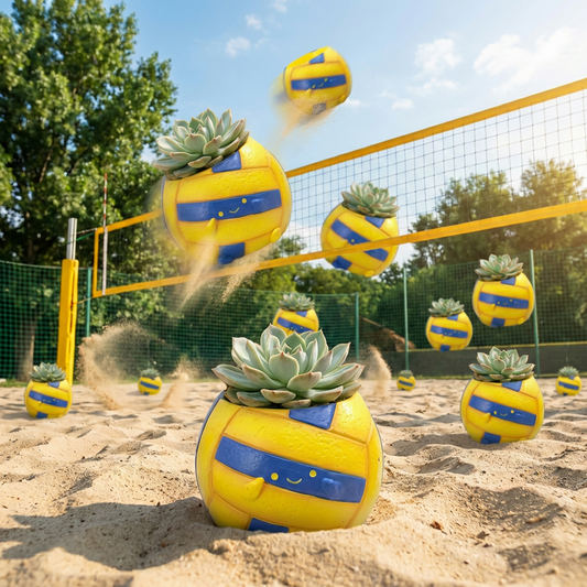 【肉肉運動場】排球主題多肉盲盒