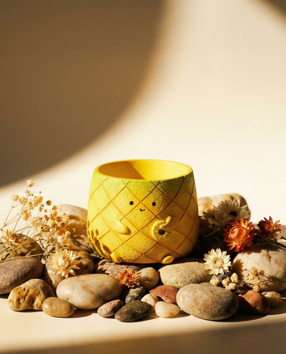 【肉肉植物園】好運旺來！鳳梨多肉植物盲盒 (單入/多肉組｜招財開運｜辦公室桌寵｜DIY療癒植栽)