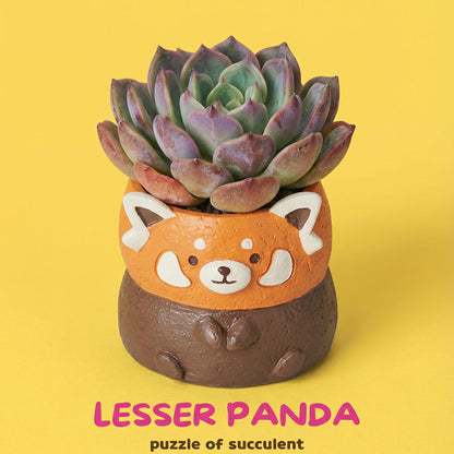 [Flesh Zoo] Red Panda Succulent Plant Blind Box, New Product Launched, Exclusively Sold on the Official Website