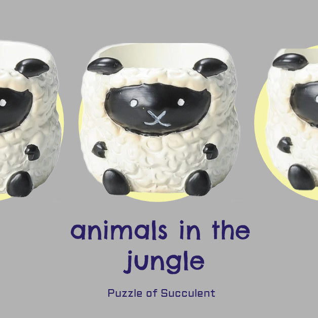 【肉肉動物園】牧場直送！呆萌黑面羊與軟萌綿羊 真實多肉微型盆栽 (款式任選｜辦公桌療癒萌寵｜含盆土專業組裝)