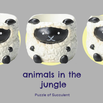 【肉肉動物園】牧場直送！呆萌黑面羊與軟萌綿羊 真實多肉微型盆栽 (款式任選｜辦公桌療癒萌寵｜含盆土專業組裝)