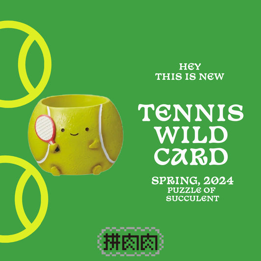 [Succulent Sports Field]-Japanese imported tennis succulent blind box