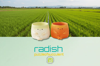 【肉肉植物園】紅白蘿蔔真實多肉植物盲盒 (2入組｜好彩頭必備｜微型盆栽｜含盆土)