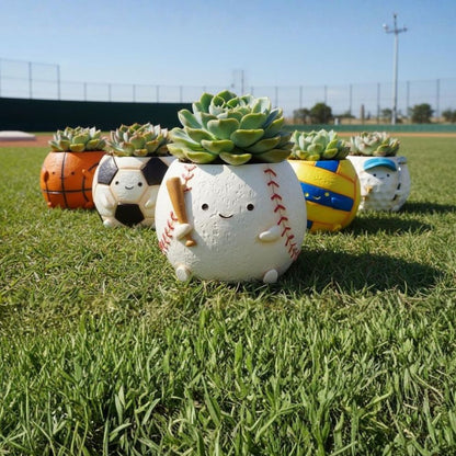 【肉肉運動場】-日本進口棒球多肉植物盲盒