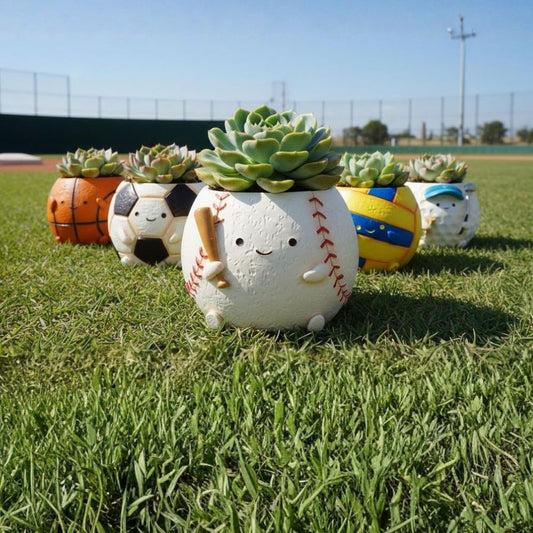 【Succulent Sports Field】Golf Themed Succulent Blind Box