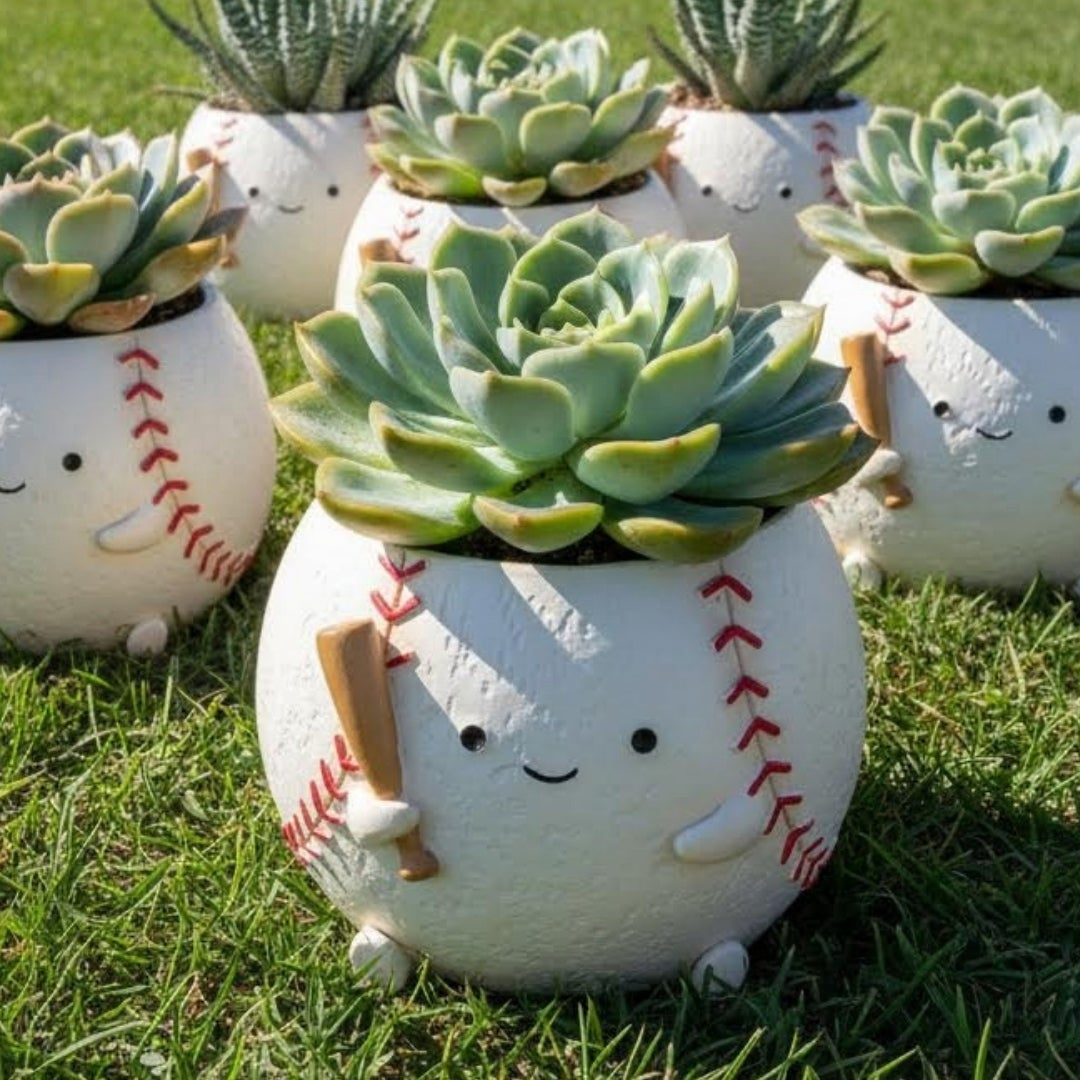 【肉肉運動場】-日本進口棒球多肉植物盲盒（單入）多肉一吋盆