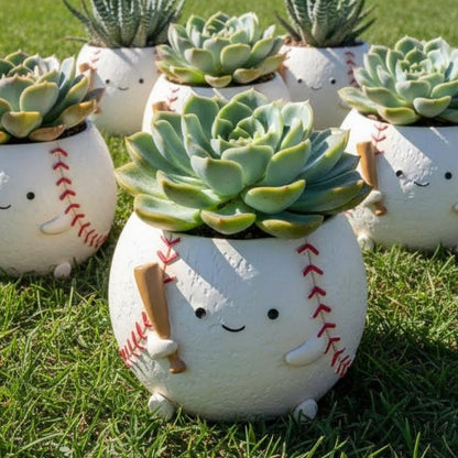 【肉肉運動場】-日本進口棒球多肉植物盲盒（單入）多肉一吋盆