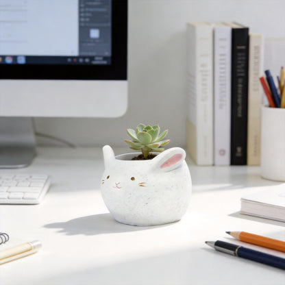 🐇 【肉肉動物園】軟萌玉兔 Ｘ 真實一吋多肉盲盒 (開箱即擺｜辦公桌專屬溫柔守護｜含盆土專業組裝)