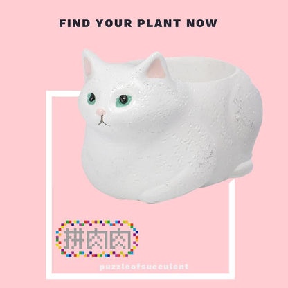 [Meaty Zoo] Black and white double cat plant blind box [Meaty Zoo] Cat black and white cat creative pink fleshy palm succulent flower pot, plant blind box X2 delivery