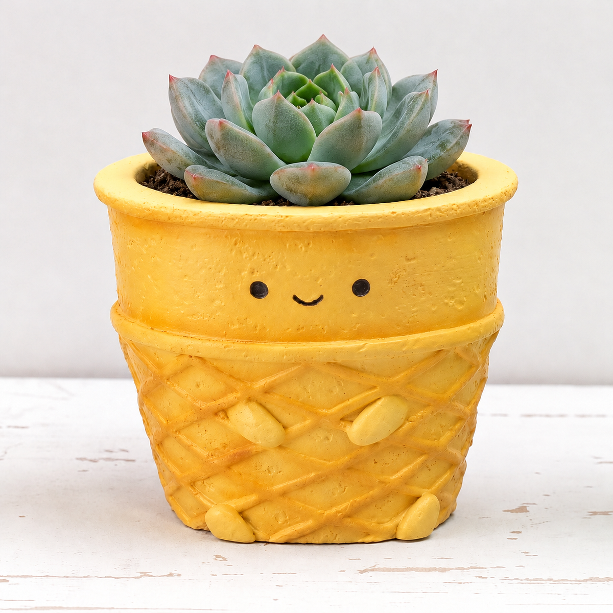 [Rou Rou Dessert Shop]-Japanese imported dessert combination succulent blind box X3