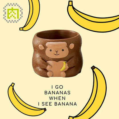 【肉肉動物園】香蕉狂熱！叢林金剛多肉盆栽 (雙色一組)