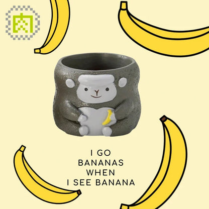 【肉肉動物園】香蕉狂熱！叢林金剛多肉盆栽 (雙色一組)