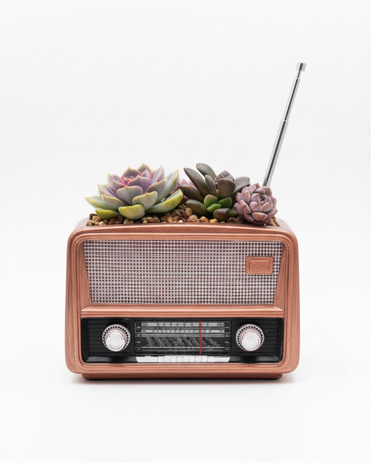 📻 【肉肉玩具箱】時光記憶！復古電視機與收音機 大多肉混植盆栽組 (開箱即擺｜多品種澎湃混植｜含盆土專業組裝)