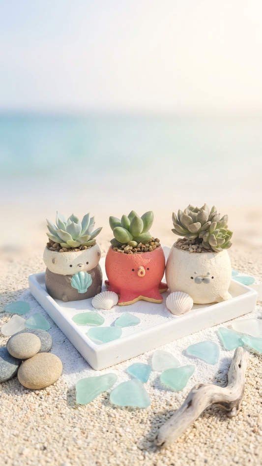 🌊 【肉肉動物園】微型水族館！海洋萌寵章魚海獺小海豹大集合 Ｘ 真實一吋多肉盲盒 (開箱即擺｜辦公桌的沁涼綠洲｜含盆土專業組裝)