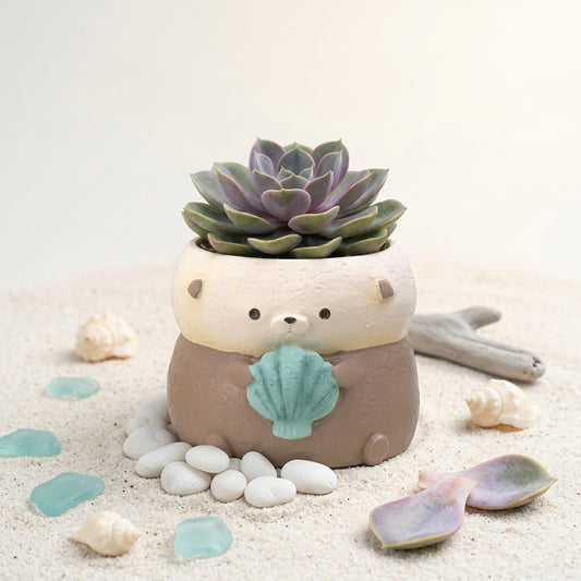 🦦 【拼肉肉】肉肉動物園！懶洋洋海獺 Ｘ 真實一吋多肉盲盒 (開箱即擺｜辦公桌上的漂浮午茶｜含盆土專業組裝)