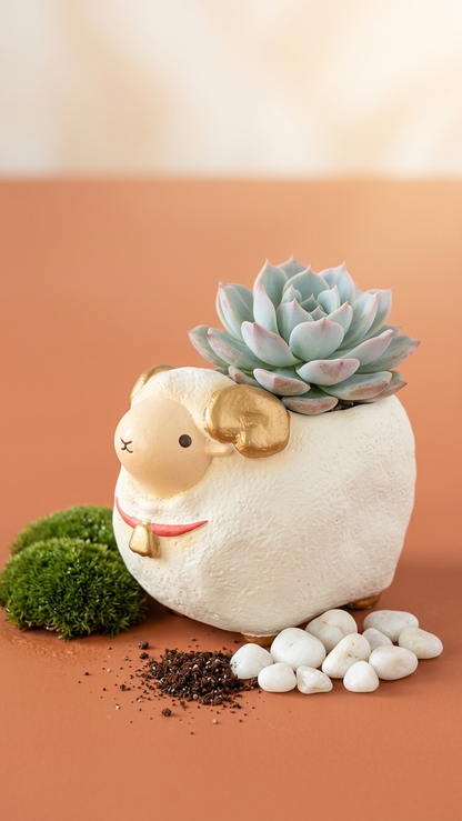 🐑  預購【拼肉肉】馬年搶瘋的生肖款來了！羊年限定「羊羊得意」多肉盲盒 (含盆土專業組裝) 預購