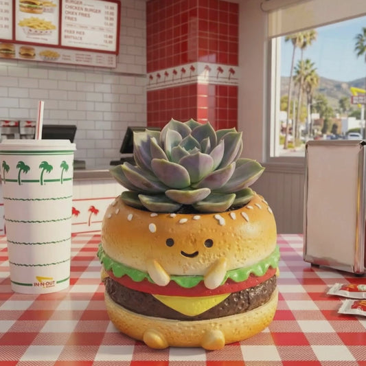 🍔🍙🍞 【肉肉早餐店】・元氣三寶真實多肉植物盲盒 (漢堡/吐司/飯糰｜零熱量早午餐｜辦公桌微型盆栽｜含盆土) 一吋多肉花盆