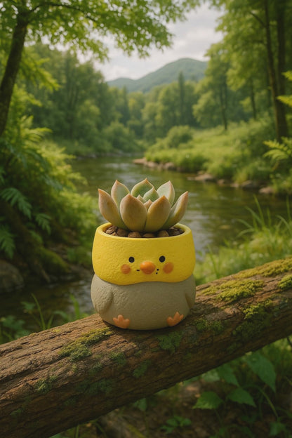 【肉肉動物園】超萌日本鸚鵡真實多肉植物盲盒 (3入包色組｜玄鳳與虎皮｜辦公桌療癒微型盆栽｜含盆土)