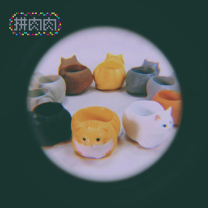 [Meaty Zoo] Black and white double cat plant blind box [Meaty Zoo] Cat black and white cat creative pink fleshy palm succulent flower pot, plant blind box X2 delivery