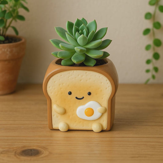 可愛的多肉植物和招牌蜜糖吐司陶瓷盆栽，完美搭配【甜蜜二月限定】肉肉甜點店・豪華全餐 🍰