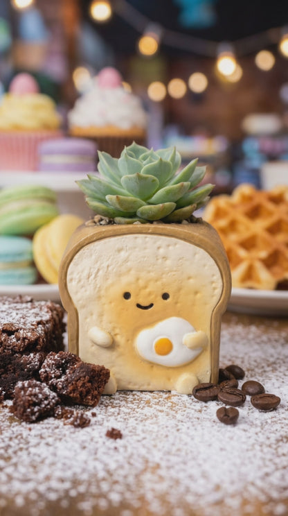 [Rou Rou Dessert Shop]-Japanese imported dessert combination succulent blind box X3