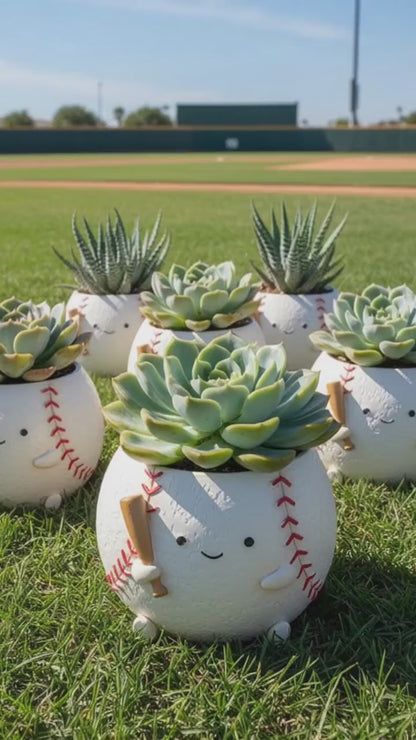 [Succulent Sports Field]-Japanese imported ball sports succulent blind box X6, 1 of each ball