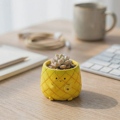 【肉肉植物園】好運旺來！鳳梨多肉植物盲盒 (單入/多肉組｜招財開運｜辦公室桌寵｜DIY療癒植栽)