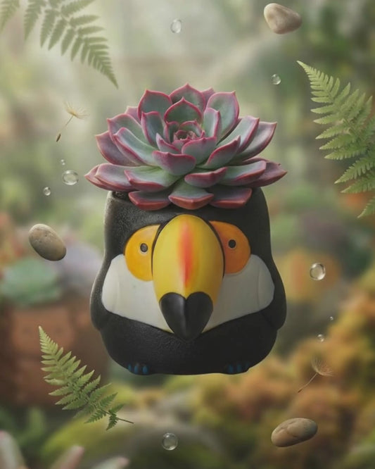 【肉肉動物園】大嘴鳥 Ｘ 真實一吋多肉盲盒 (開箱即擺｜辦公桌專屬熱帶綠洲｜含盆土專業組裝)