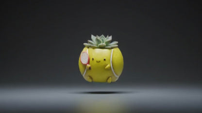 🎾【肉肉運動場】熱血網球多肉盲盒 (Tennis)