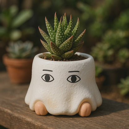 [Succulent Toy Box] Robot Succulent Two-color Plant Blind Box X2_1 of each color shipped