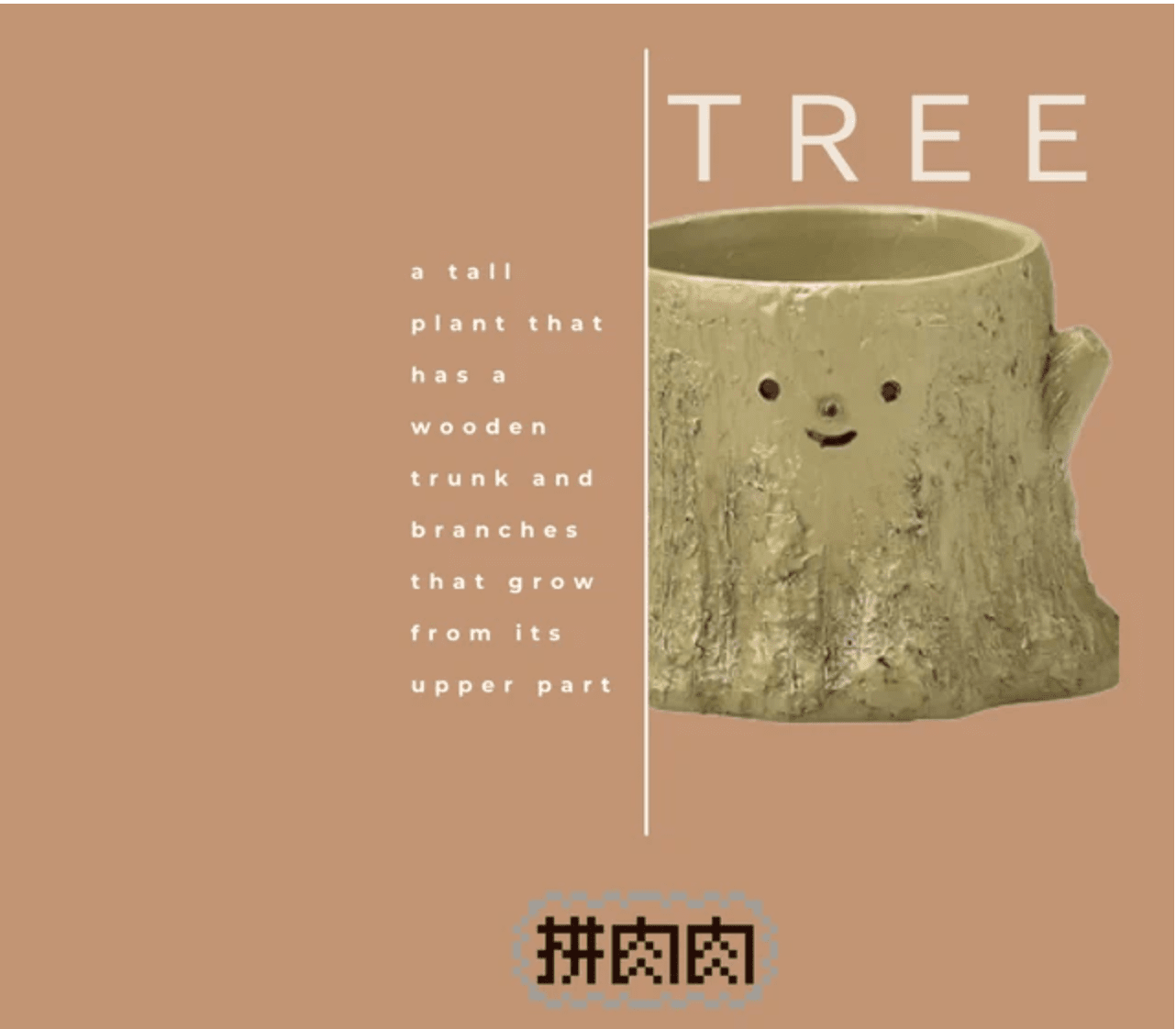 【拼肉肉聖誕限定】多肉植物樹樁盲盒組合 (聖誕小物圍巾版) - 拼肉肉 Puzzle Of Succulent