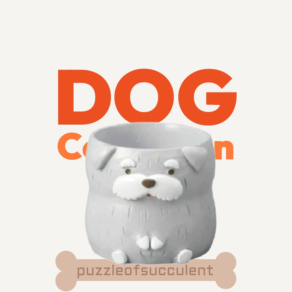 【肉肉動物園】老夫子雪納瑞雙色多肉植物盲盒 - 拼肉肉 Puzzle Of Succulent